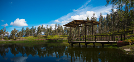 Colinar Carigán Villonaco